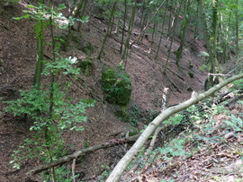 Zalai dombok és erdők