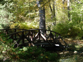 Vácrátót arborétum