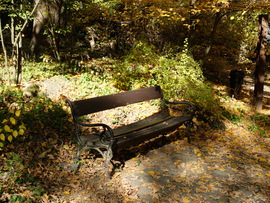 Vácrátót arborétum