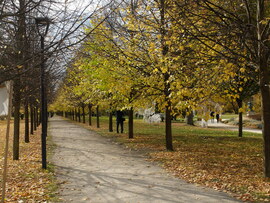 Gödöllő Kastélypark