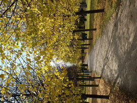 Gödöllő Kastélypark