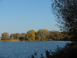 Naplás-tó november 1.