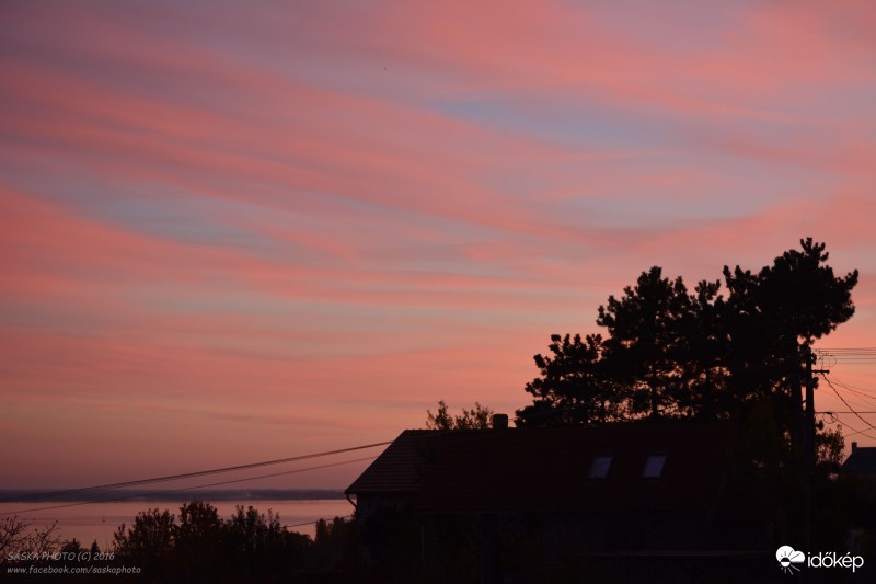 Rózsaszín álmok 2