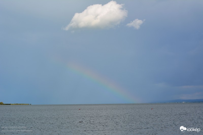 Rövidke szivárvány