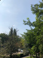 Budapest XIII.ker - Angyalföld