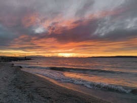 schfoto fotója