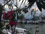 Siófok