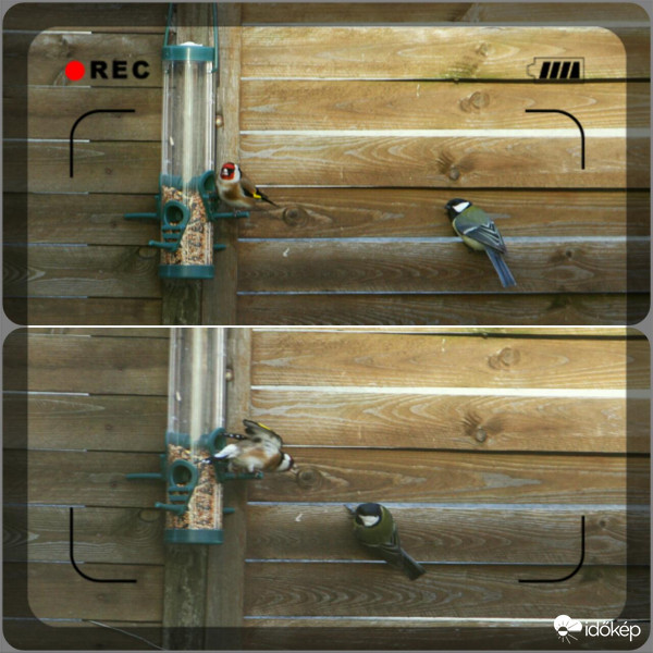 Várj a sorodra! - NEM VÁROK!!