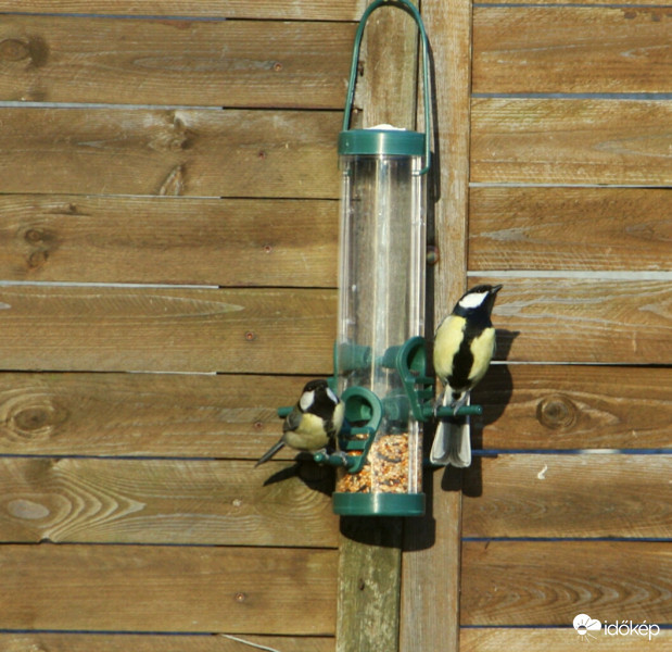 Napozni jobb, mint enni!