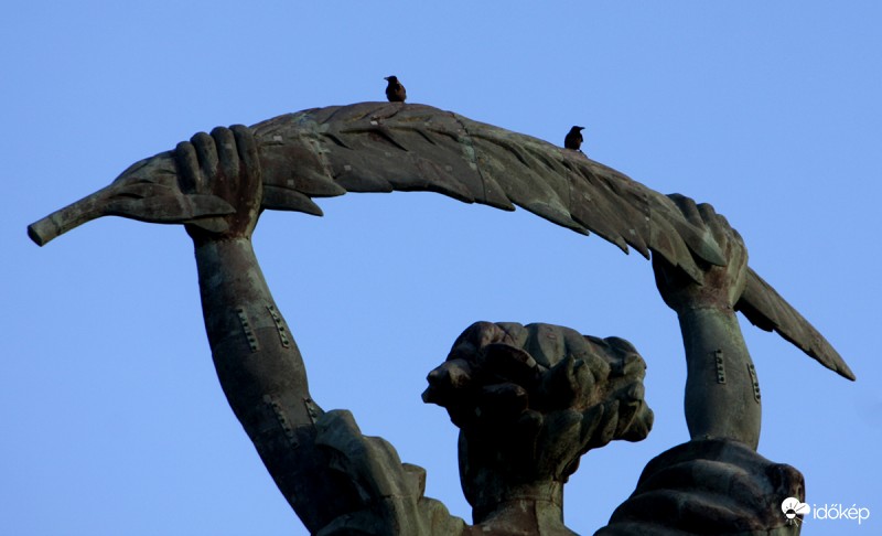 Szabadság-szobor Gyere fel itt jobb a kilátás