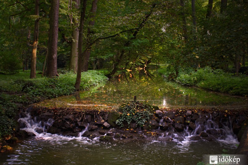 Vácrátót Arborétum 1