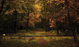 Őszi színek Gemecben 2013.