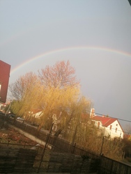 Eső utáni mosoly