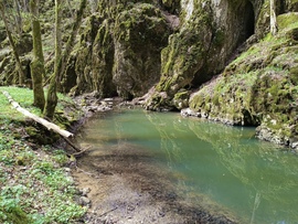 Telekes patak