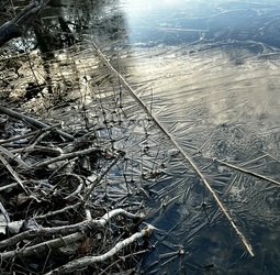 Amikor a természet rajzol