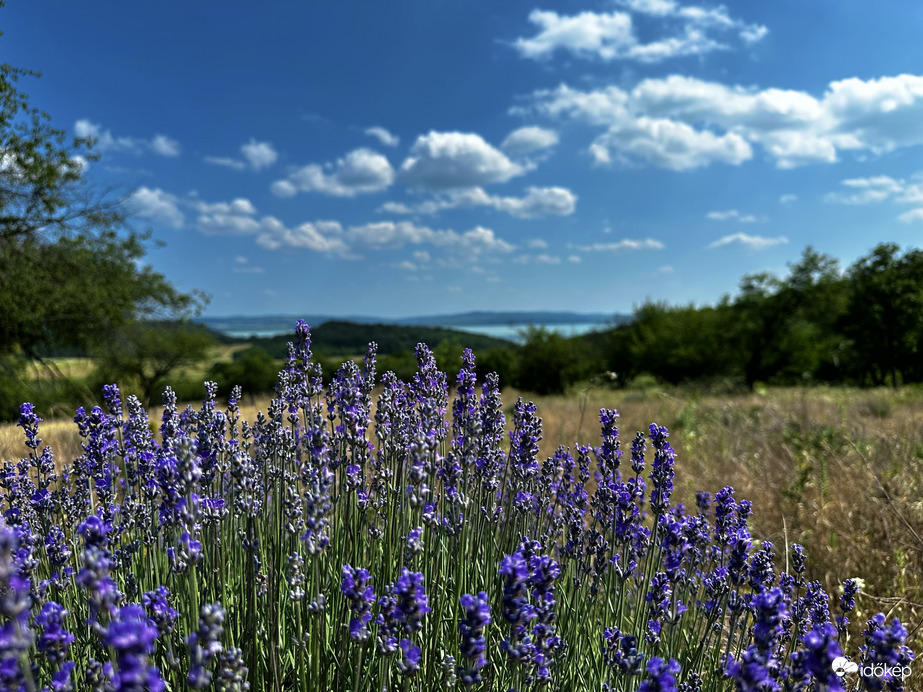 Balaton