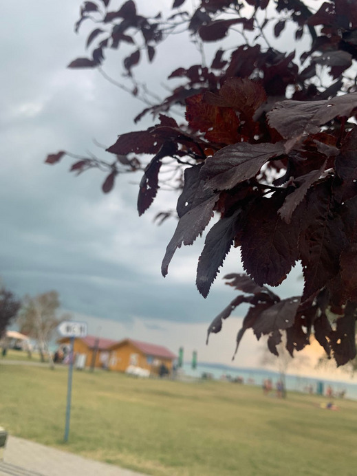 Balatonvilágos