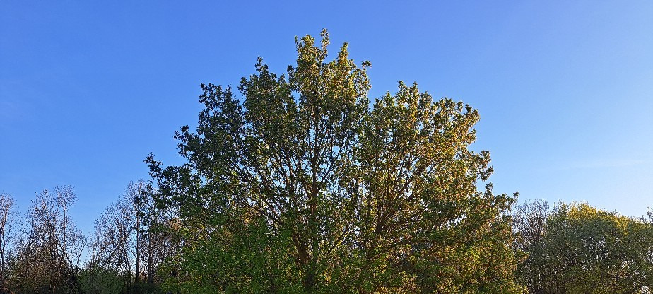 Dombóvár