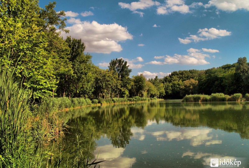 Vác,Ligeti-tó
