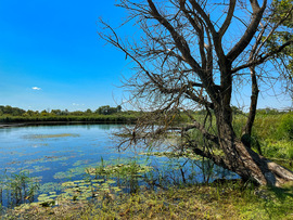 Tisza-tó,Poroszló