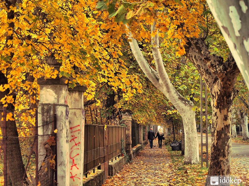 Budapest XVI.Pilóta utca