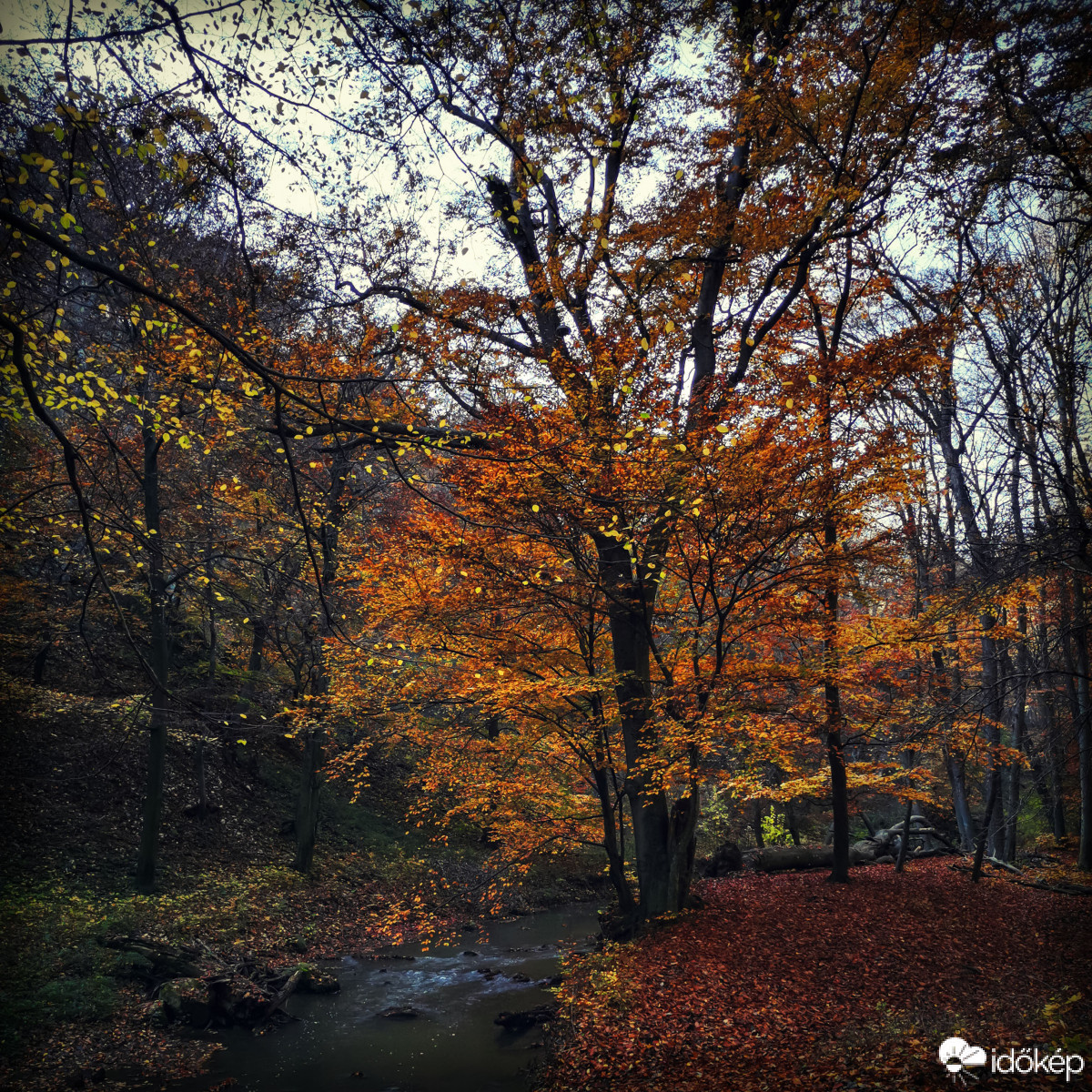 Gaja-szurdok