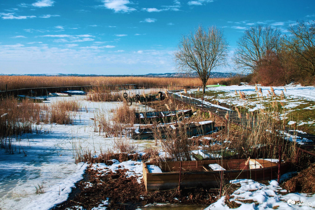 Szúnyog-sziget,Pákozd, 2026.01.17.