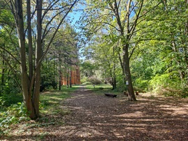Kecskemét arborétum