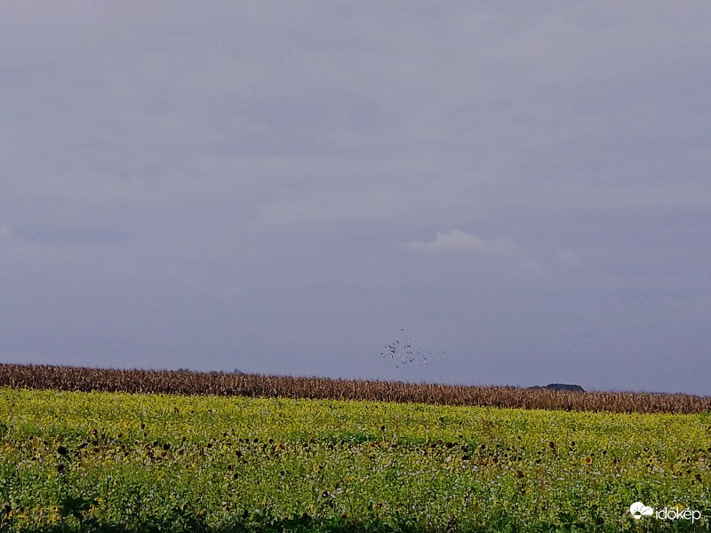 Egy pillanatra kisütött a napocska.-