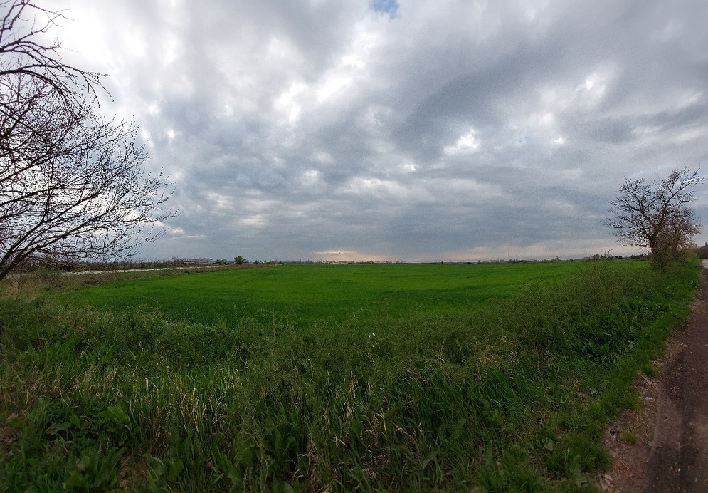 Mezőtúr