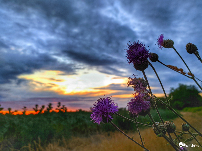 Imolás alkonyi fények
