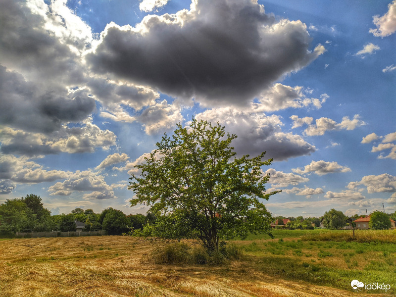 Egy gomolygós nyári nap