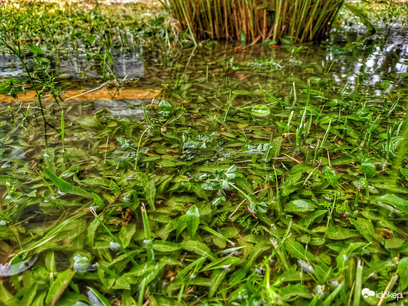 Kifogott rajta a felhőszakadás