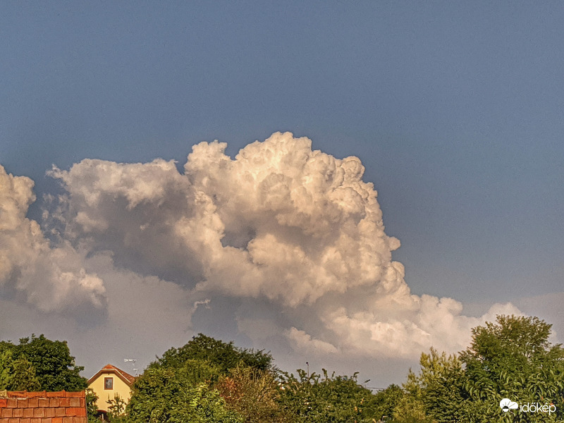 Dacolva az elemekkel