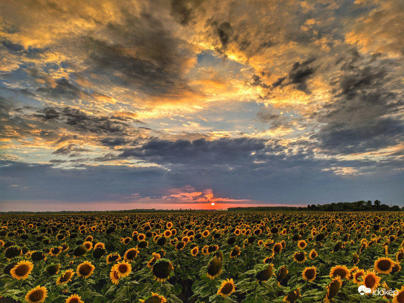 Mozgalmas napunk nyugvása