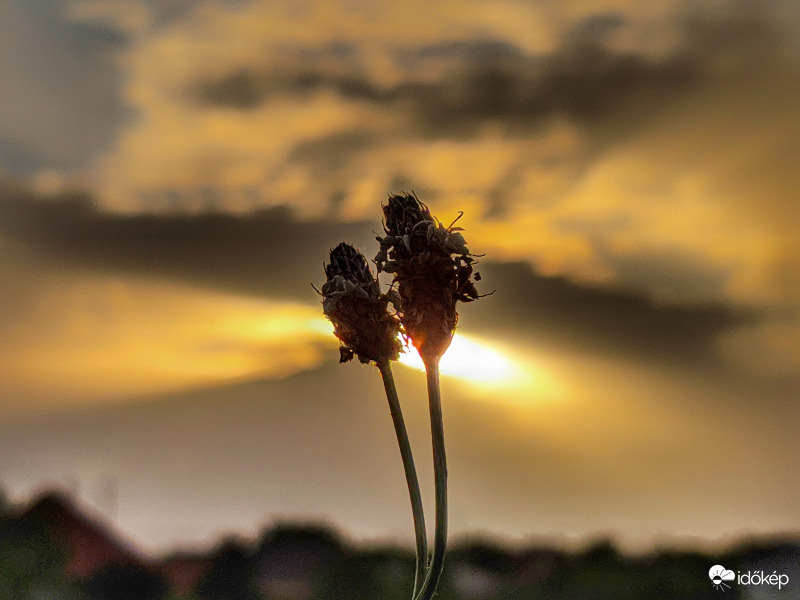 Mai nap utolsó kacsintása
