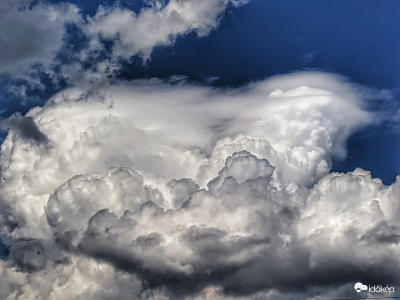 Rohamosan feltörekvő