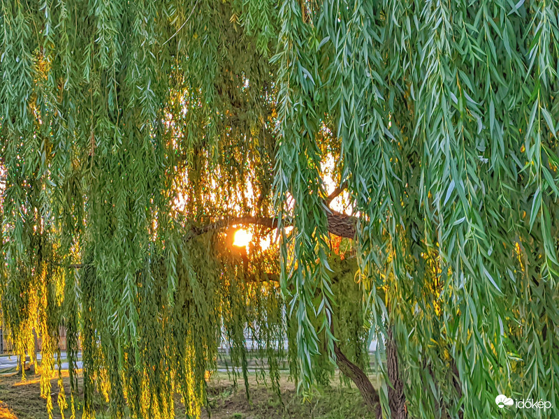 Nappal a háttérben