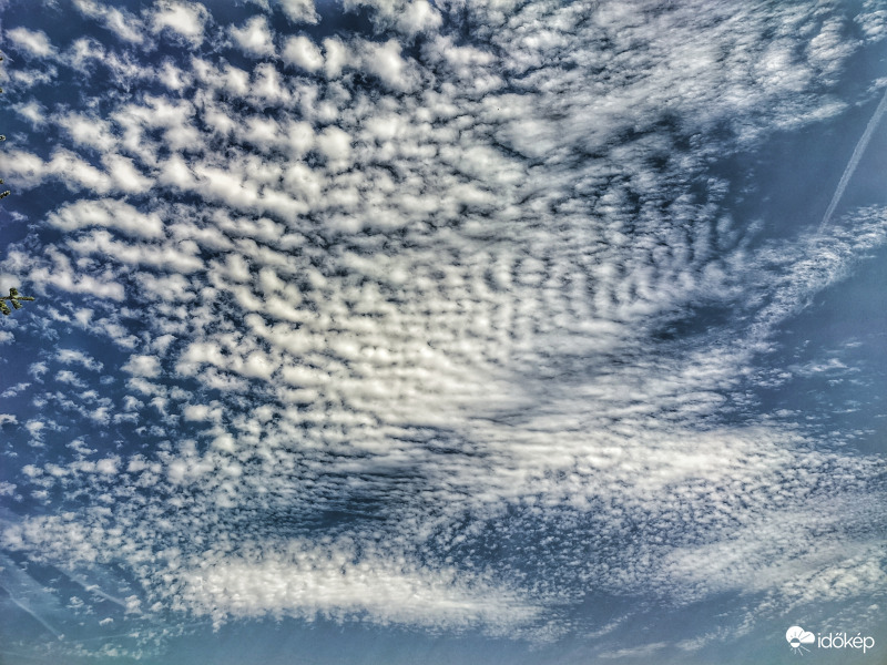 Bárányok délutánja 2.