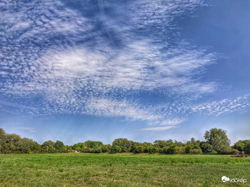 Bárányok délutánja 3.