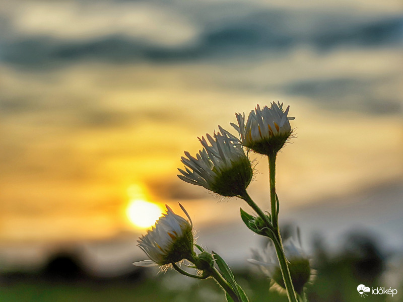 Könnyed nyári alkony