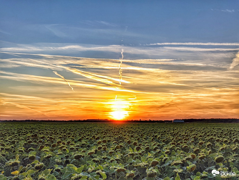 Tüzes gyönyörűség