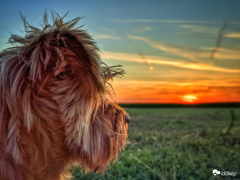 Mai alkonyati szemlélés