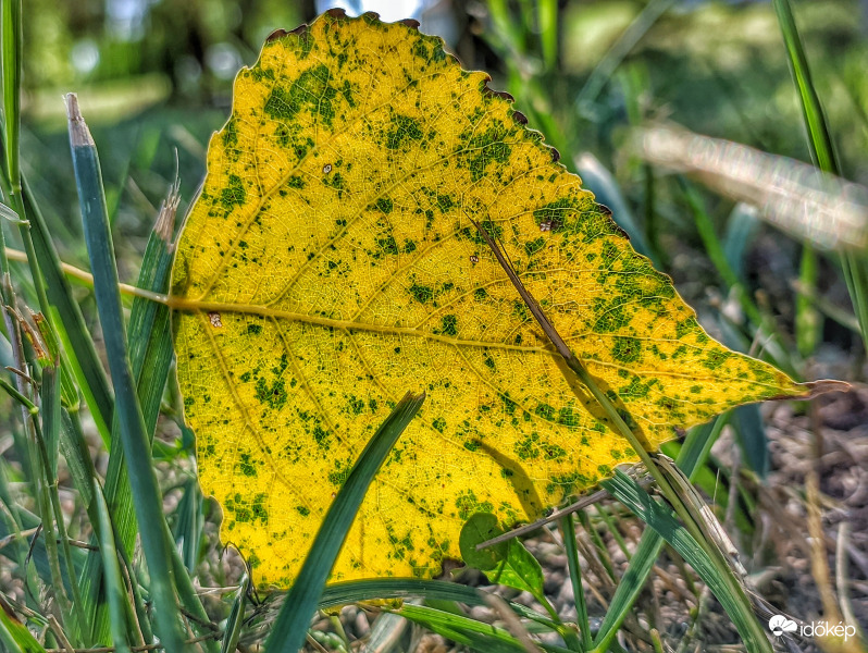 Lassan közeledik az ősz