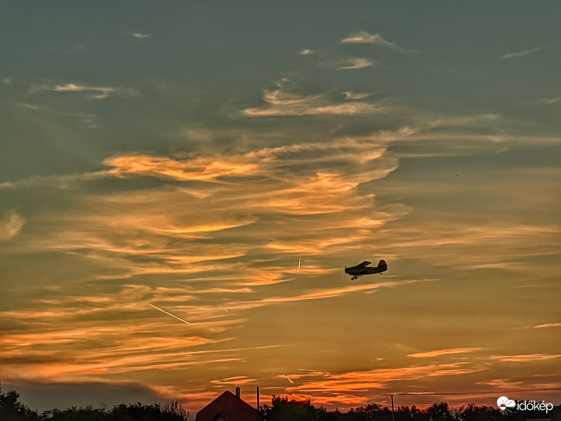 Szürkületi szúnyogirtás 2.