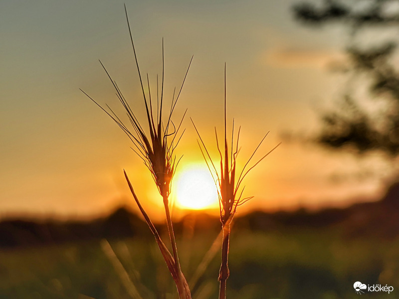 Nap szorult helyzetben