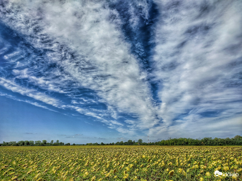 Szelek szárnyán vonuló frontfelhő
