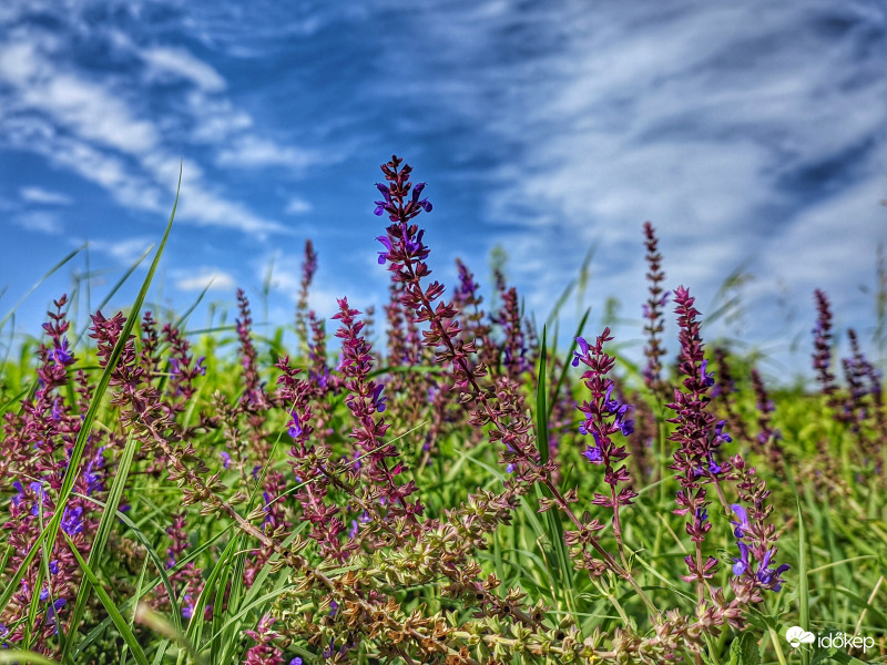 Nyugalom lett úrrá