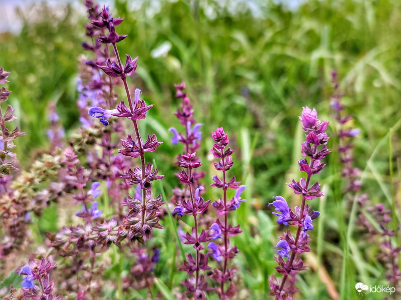 Színek a borultság ellen
