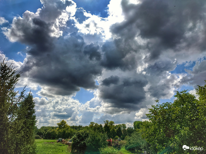 Komor gomolyok állnak össze